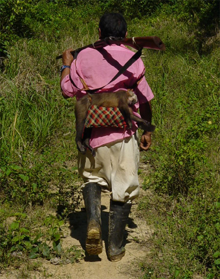 photo: A Tsimane hunter from Nuevo Mundo with monkey strapped to back.